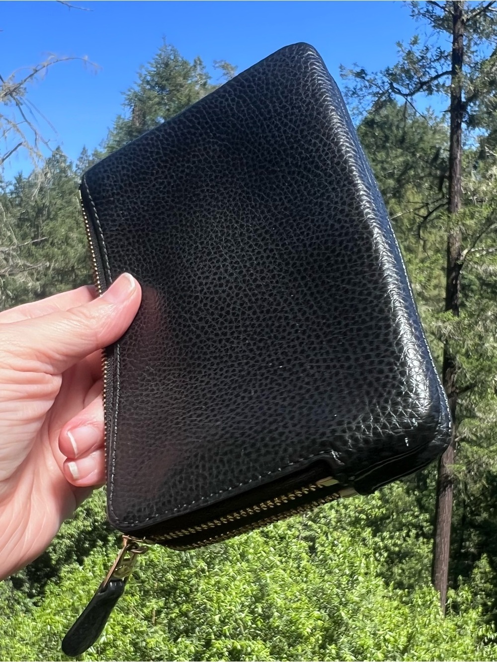COACH Black Pebbled Leather Wristlet Double Zip Wallet with Gold Hardware - Picture 6 of 13